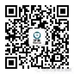 山东万豪投资控股集团有限公司